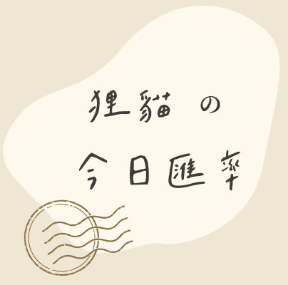 狸貓の今日匯率